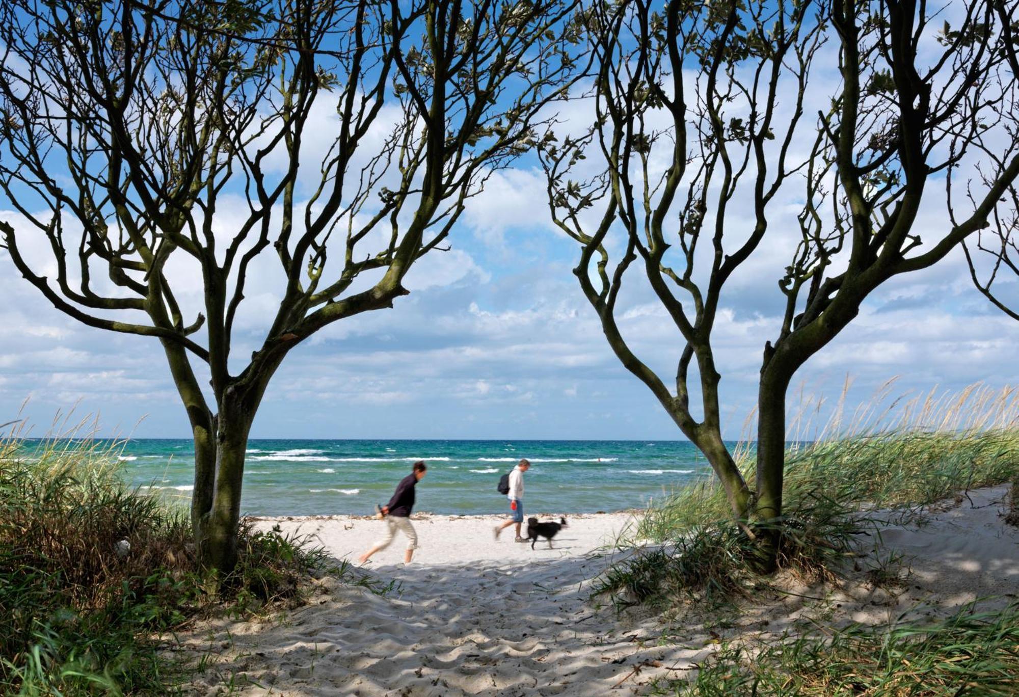 Inselhaeuser Kaltenhof Inselhaus Poel 1 Insel Poel Exterior foto